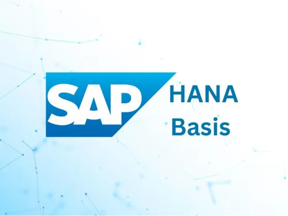 BASIS & Hana